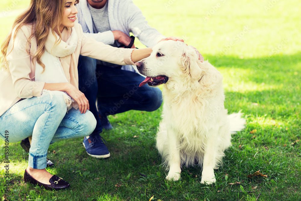 close up of couple with labrador dog outdoors close up of couple with labrador dog outdoors