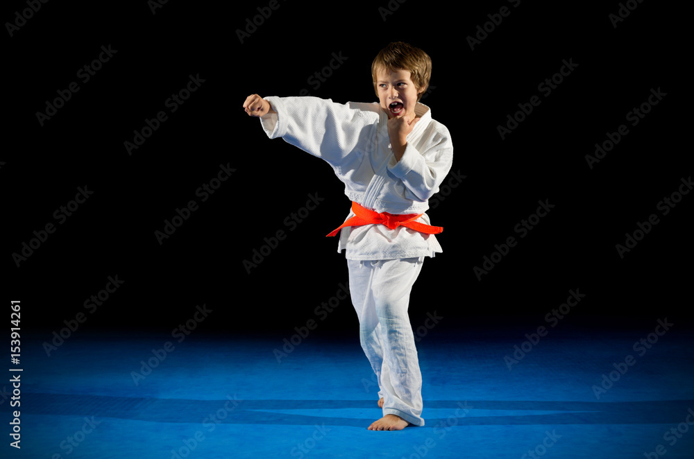 Little boy martial arts fighter