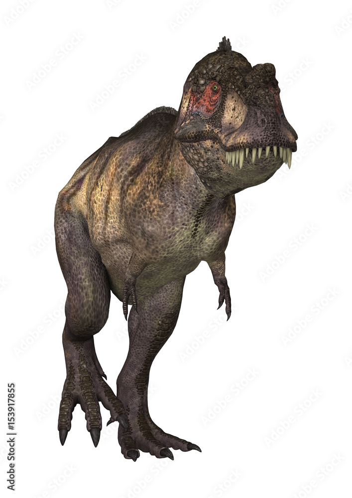 3D Rendering Dinosaur Tyrannosaurus on White 3D Rendering Dinosaur Tyrannosaurus on White