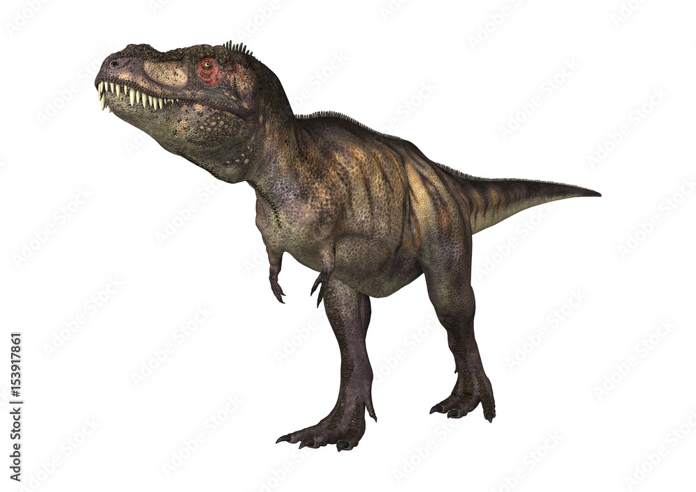 3D Rendering Dinosaur Tyrannosaurus on White