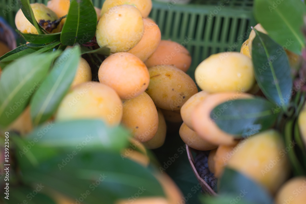 Plum mango or Marian plum fruit