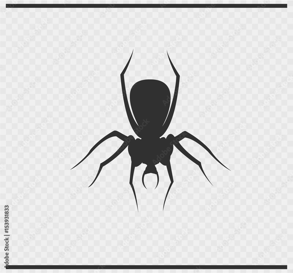 spider icon black color on transparent spider icon black color on transparent