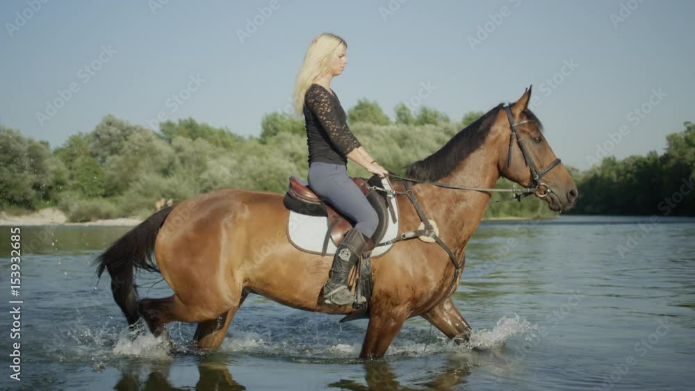 SLOW MOTION CLOSE UP DOF: Beautiful girl with long hair horseback riding stunning horse across wide river on sunny summer day. Young female rider on brown gelding crossing river splashing water around SLOW MOTION CLOSE UP DOF: Beautiful girl with long hair horseback riding stunning horse across wide river on sunny summer day. Young female rider on brown gelding crossing river splashing water around