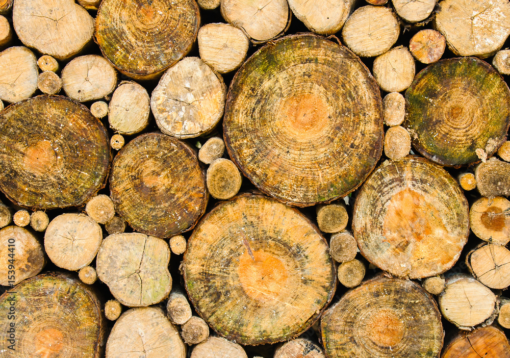 Pile of wood logs for winter, wooden background,stack of wood background