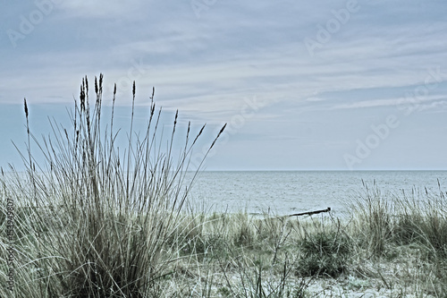 Dünen mit Strandhafer am Ostseestrand bei kaltem Licht