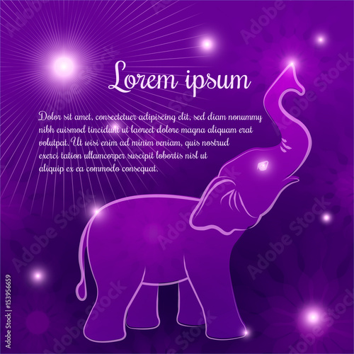 Night elephant