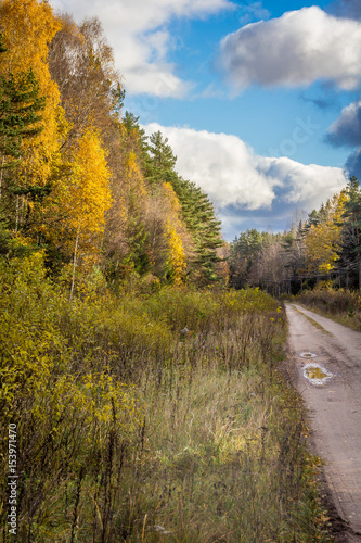 Country dirt road during autumn with big puffy clouds.