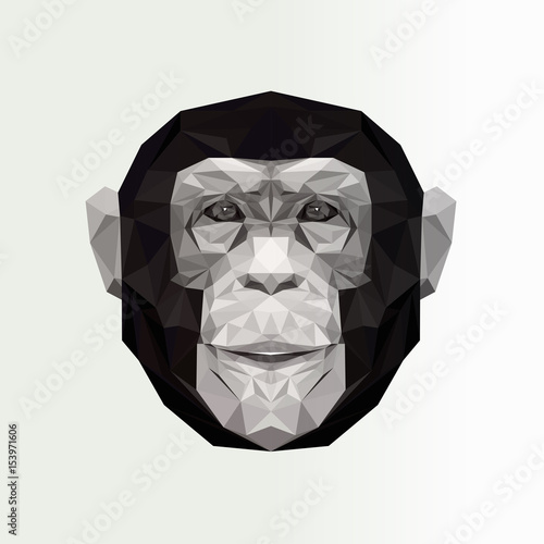 Vector portrait of monkey polygonal . Triangle illustration monkey for use print on t-shirt and poster. Geometric low poly chimpanzee design. Hipster animal print in summer sunglasses. Monkey icon.