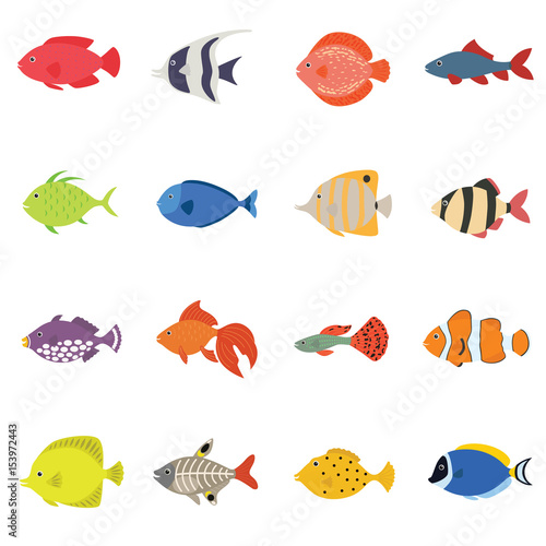 Cute fish vector illustration icons set. Tropical fish, sea fish, aquarium fish set isolated on white background.
