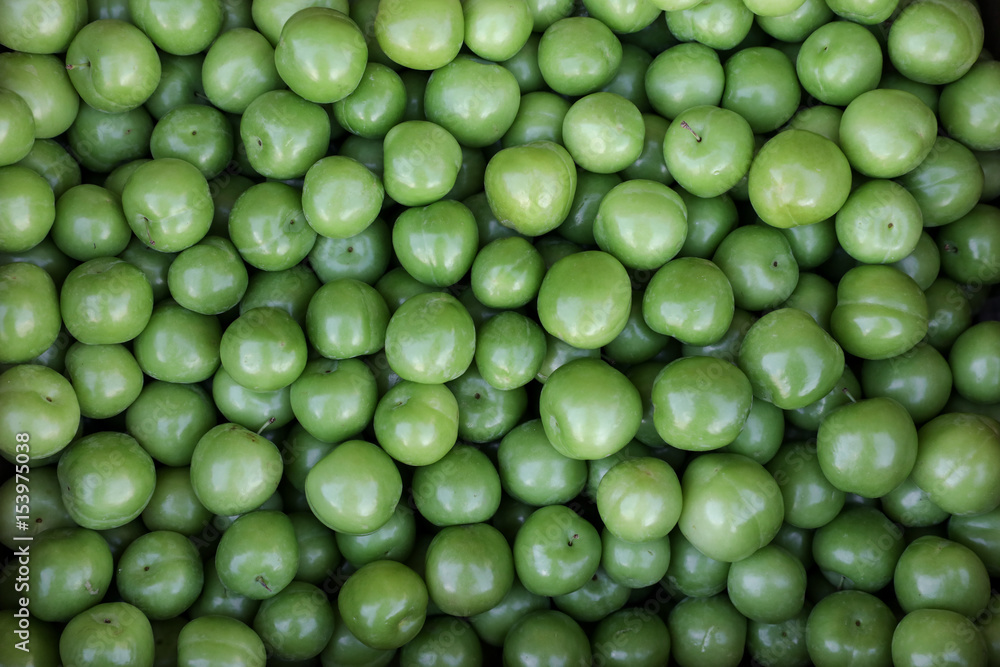 A box of Greengage plums fruits for sale in a vegetable shop. A box of Greengage plums fruits for sale in a vegetable shop.