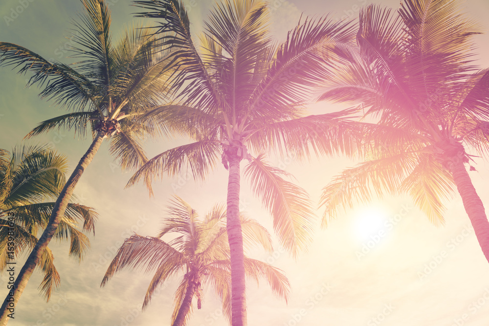 Tropical landscape with palm trees and sunny sky  - obrazy, fototapety, plakaty 