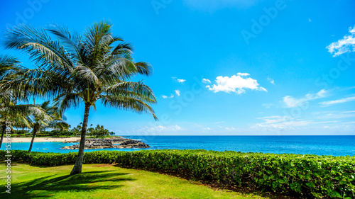 Palm trees swaying in the wind under blue sky at Ko Olina on the West Coast of the Hawaiian island of Oahu © hpbfotos