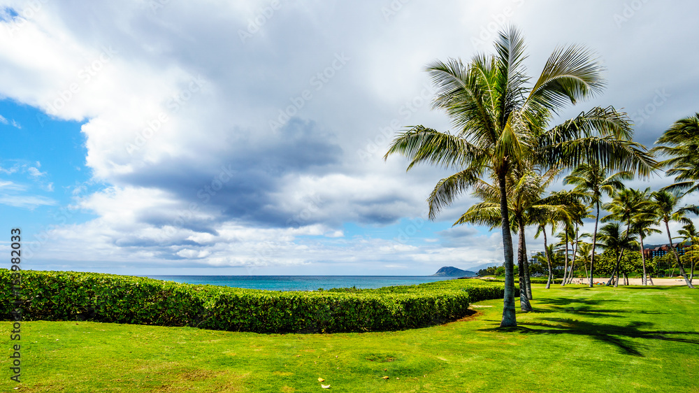 Palm trees in the wind under cloudy sky at Ko Olina on the West Coast of the Hawaiian island of Oahu