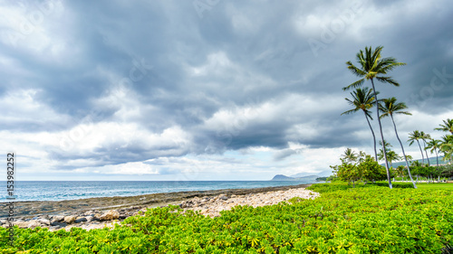 Palm trees in the wind and the Ko Olina Lagoon under cloudy sky at the resort community of Ko Olina on the West Coast of the Hawaiian island of Oahu  photo