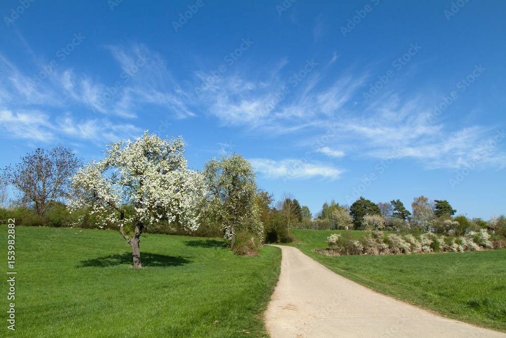 Ditzingen Ditzingen