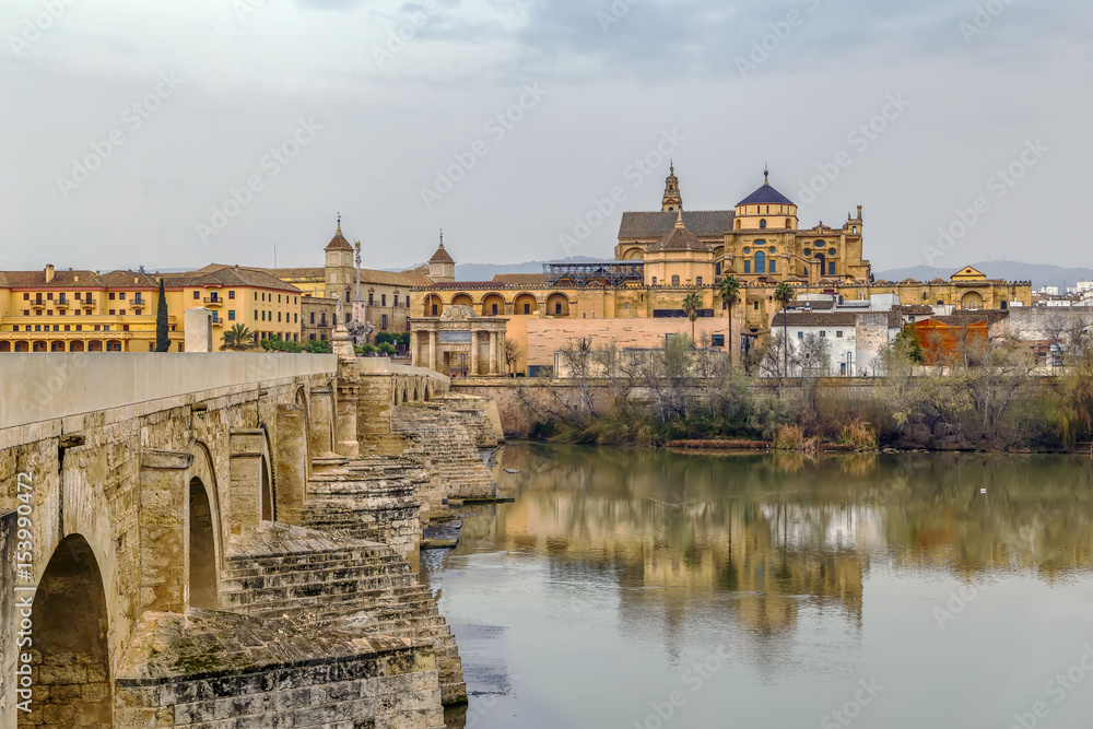 Obraz premium view of Cordoba with Mosque Cathedral, Spain