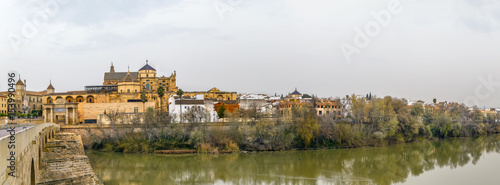 view of Cordoba with Mosque Cathedral, Spain