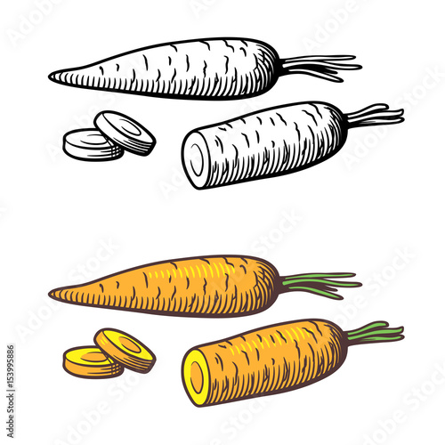 Flower bouquet decorated with bow. Black and white outline vector illustration, isolated on white. Antistress coloring page for adults