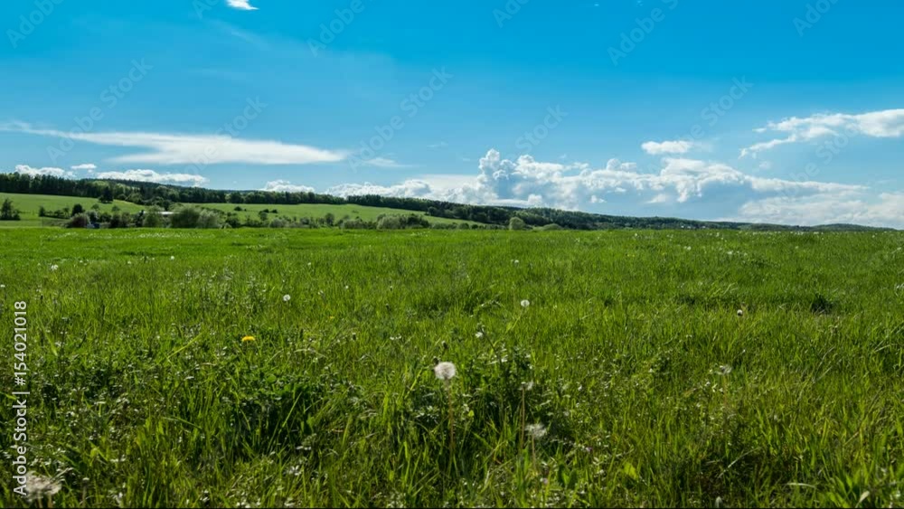 Timelapse Wiese Timelapse Wiese
