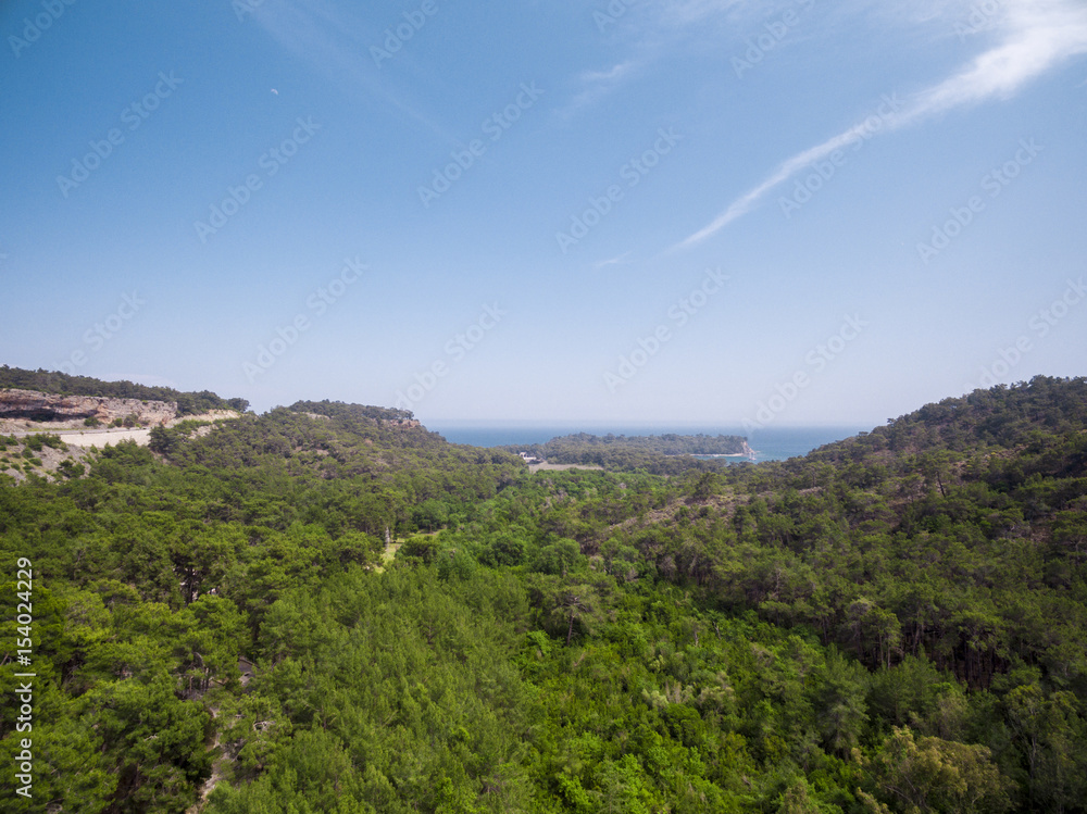 Aerial forest photo