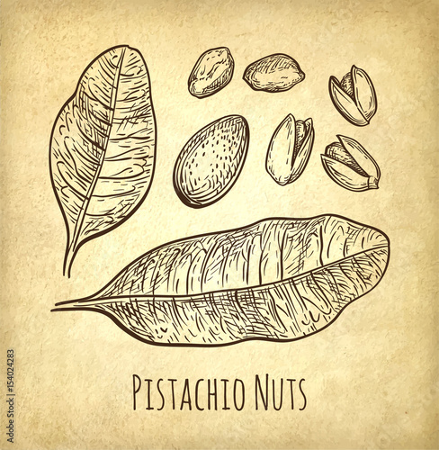Pistachio nuts set.
