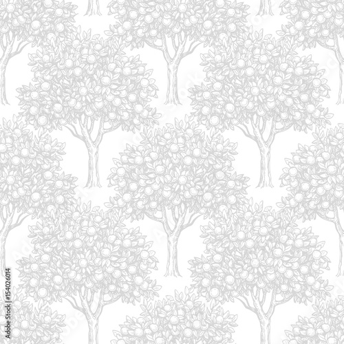 Seamless pattern with orange trees