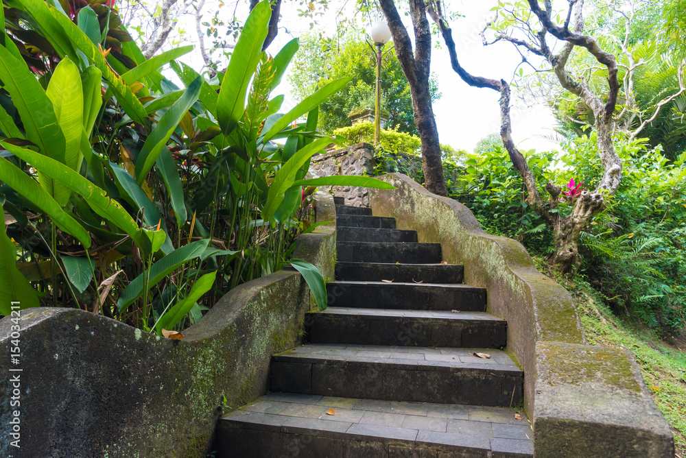 Old stone curved stairs with green exotic vegetation and moss