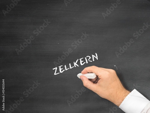 Zellkern photo