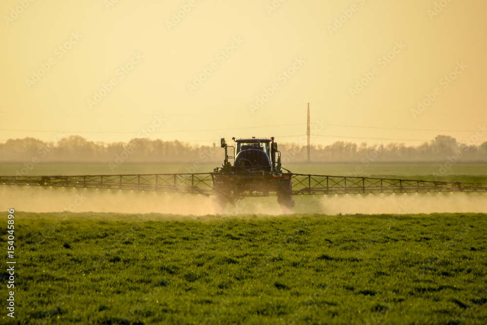 Naklejka premium Tractor on the sunset background. Tractor with high wheels is making fertilizer on young wheat. The use of finely dispersed spray chemicals
