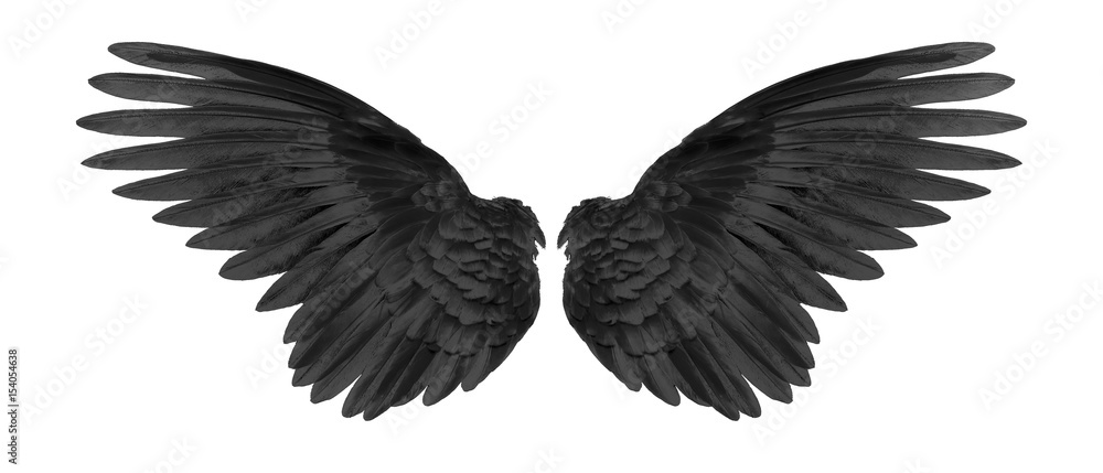 Obraz black wings on white background
