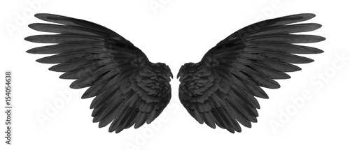 Fotografie, Obraz black wings on white background
