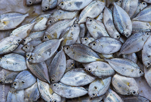 Fresh fishes at a market, close up