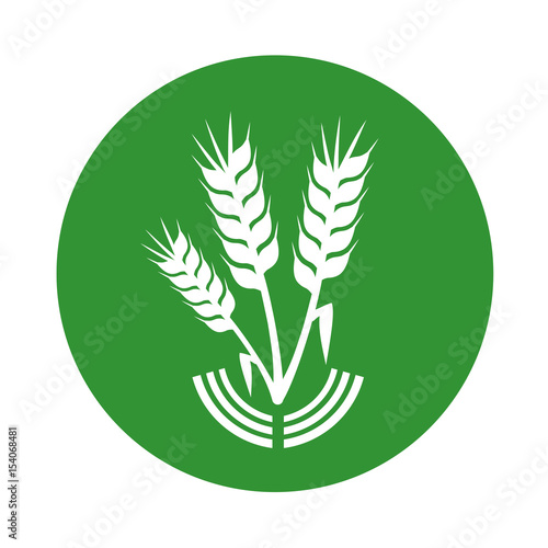 eco food icon