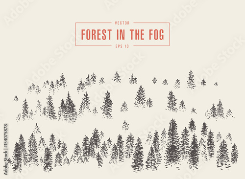 Misty fog pine forest mountain vector drawn sketch