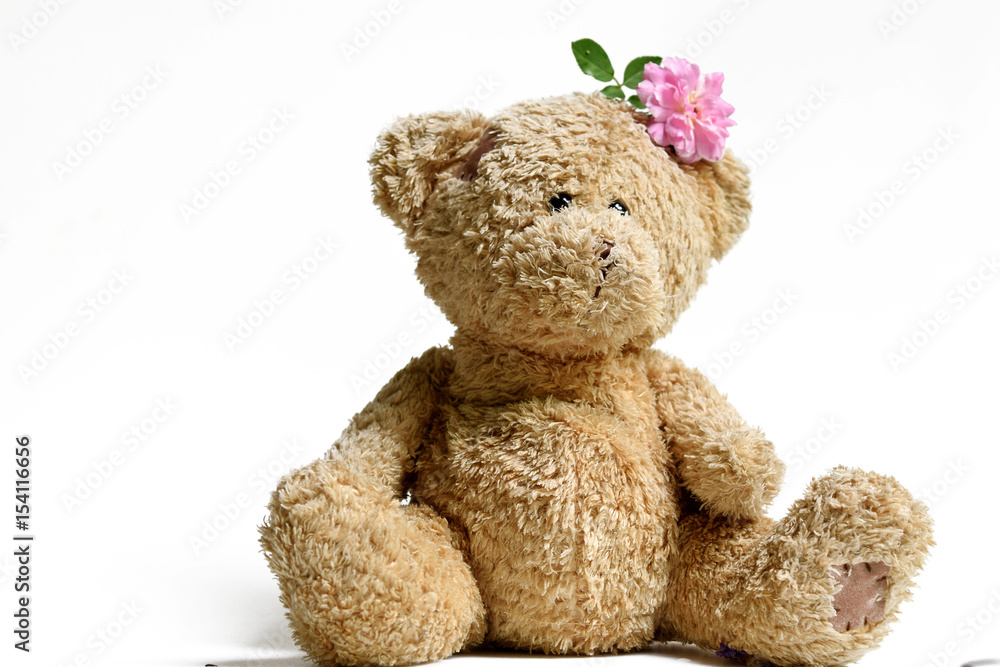 Obraz premium Lovely teddy bear on white background