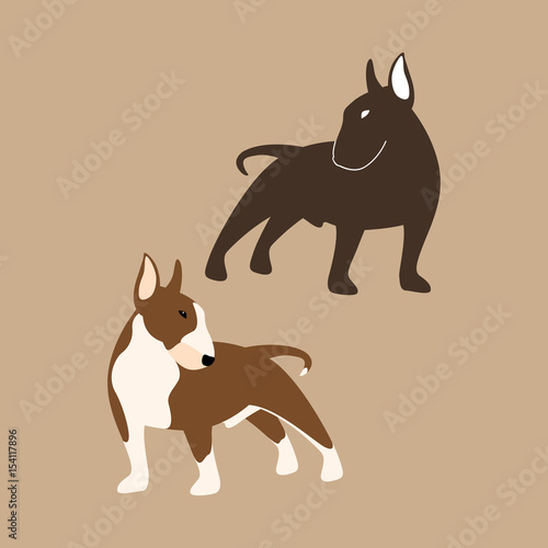 Bull Terrier vector illustration style Flat set