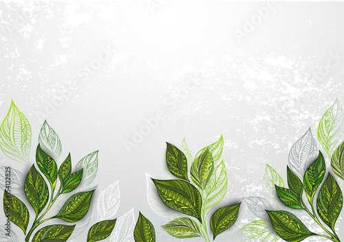 Background with tea plants
