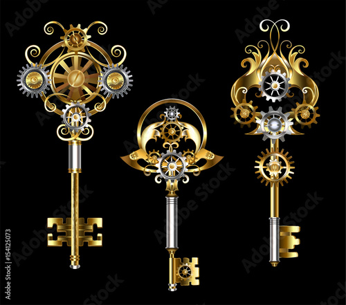 Three keys with gears