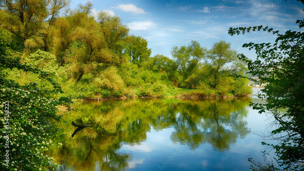 Rheinauen-Naturschutzgebiet bei Bingerbrück am Rhein Rheinauen-Naturschutzgebiet bei Bingerbrück am Rhein