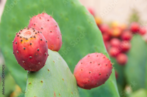 Opuntia cactus rape fruits