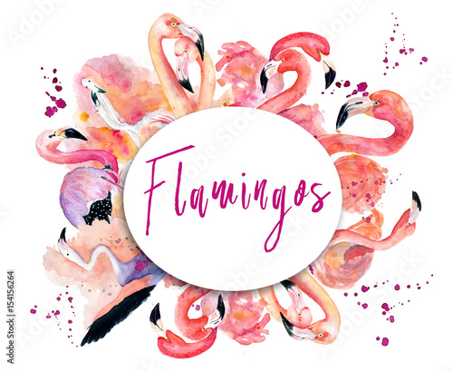 Fotografie round frame with pink flamingo