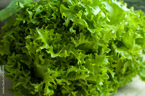 Raw organic green frisee salad close up.