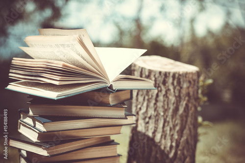 Wooden hands hold a book about trees. Template for your design. Concept of deforestation.