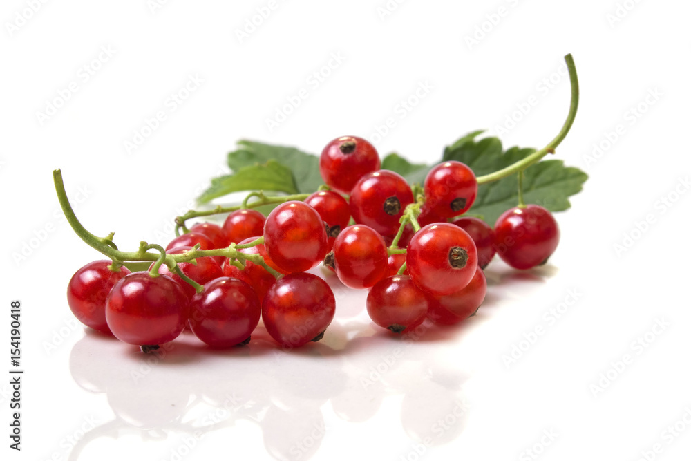 Twigs with ripe red currant