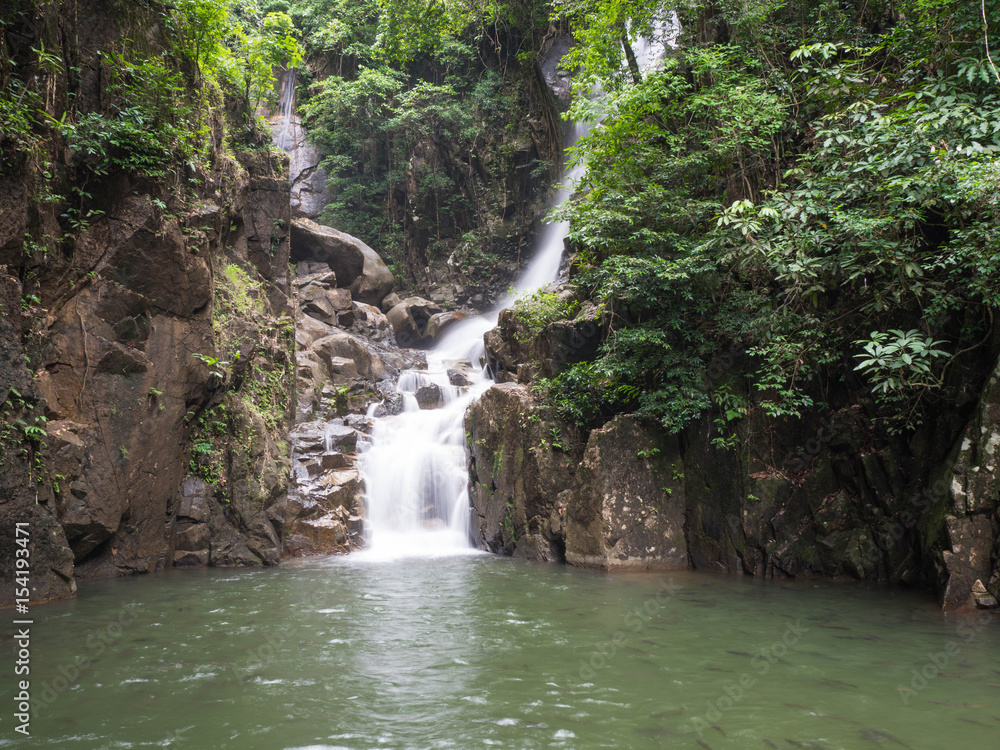 Waterfall in the jungle Full of trees In front of the waterfall, there are a lot of fish. Waterfall in the jungle Full of trees In front of the waterfall, there are a lot of fish.