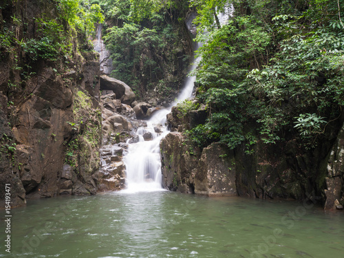 Waterfall in the jungle Full of trees In front of the waterfall  there are a lot of fish.