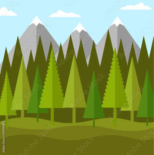 Flat landscape of forest of conifers and mountains