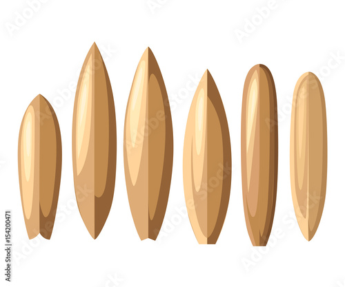 Vector surfboard illustration in flat style design Isolated on white background Color surfboard set. Sea extreme sport pattern. Vector illustration