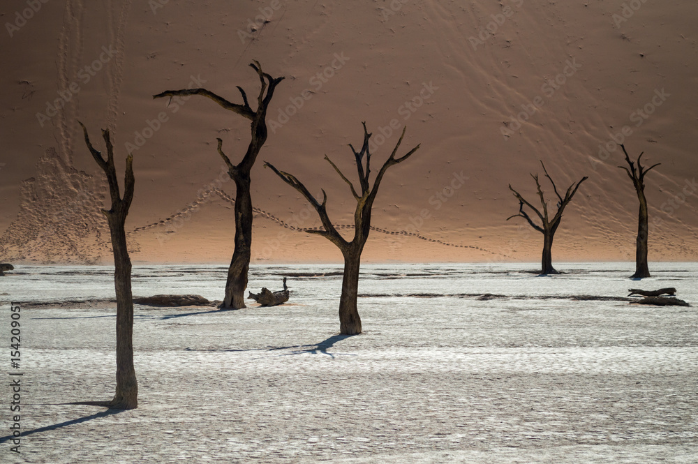 Sossusvlei Salt Pan Desert Landscape with Dead Trees and Dune, Namibia Sossusvlei Salt Pan Desert Landscape with Dead Trees and Dune, Namibia