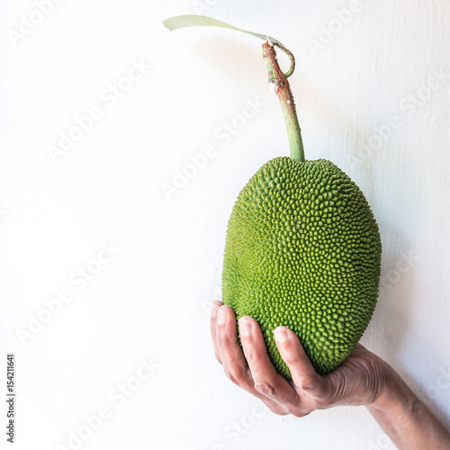 Hand holding small jackfruit